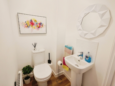 Picture 7